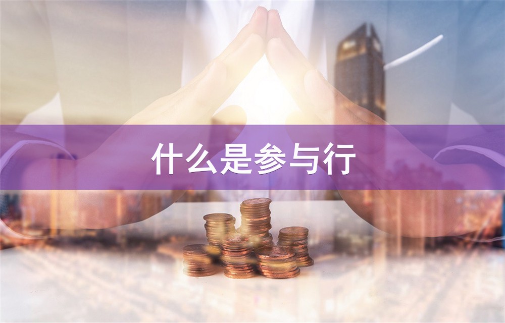 私人资金. 私人资金来源. 私人资金投资 私人资金. 私人资金来源. 私人资金投资